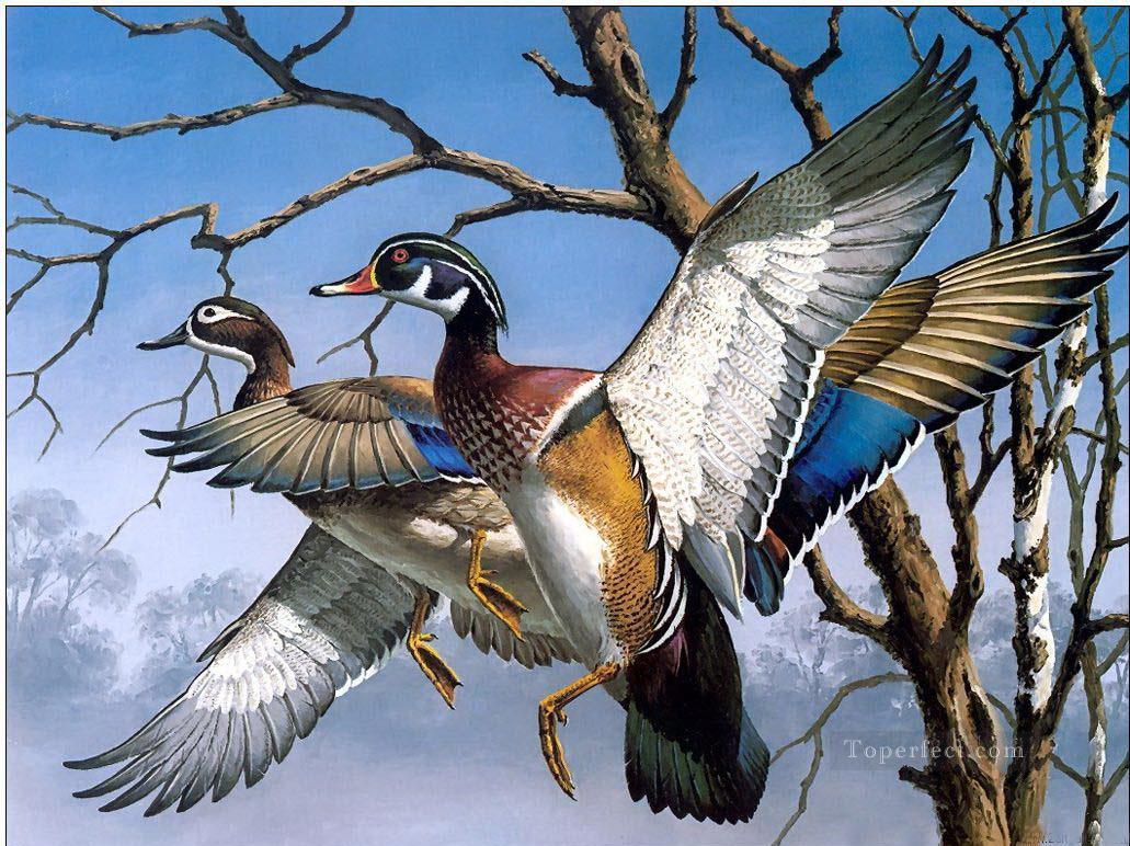 ama0010D13 animal birds Oil Paintings